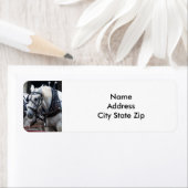 Percheron Draft Horse Etiket (Insitu)