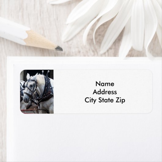 Percheron Draft Horse Etiket (Insitu)