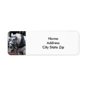 Percheron Draft Horse Etiket (Voorkant)