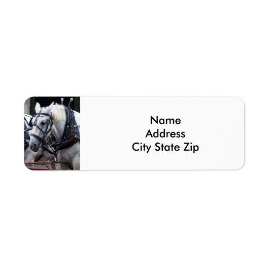 Percheron Draft Horse Etiket (Voorkant)