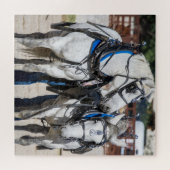 Percheron Draft Horse Legpuzzel (Horizontaal)