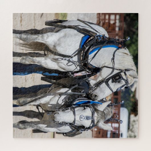 Percheron Draft Horse Legpuzzel (Horizontaal)
