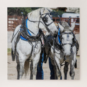 Percheron Draft Horse Legpuzzel