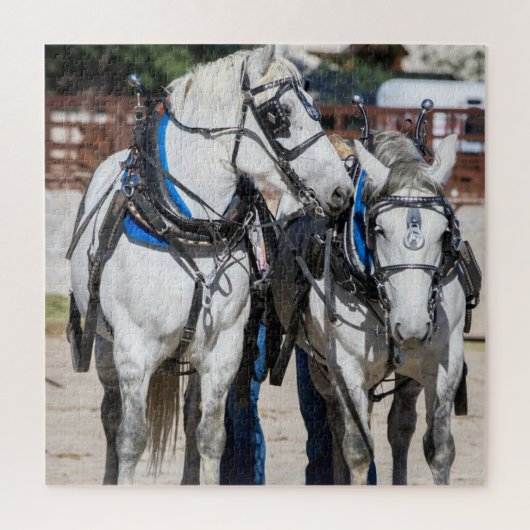 Percheron Draft Horse Legpuzzel (Verticaal)
