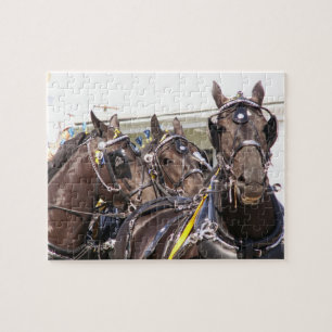 Percheron Draft Horse Legpuzzel