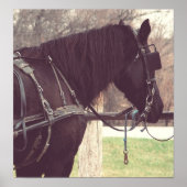 Percheron, Faux  Poster (Voorkant)