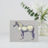 Percheron Horse Equine Art Briefkaart (Staand voorkant)