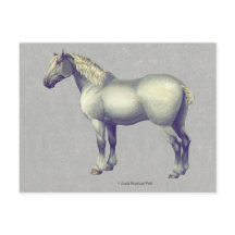 Percheron Horse Equine Art