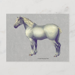 Percheron Horse Equine Art Briefkaart