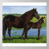 Percheron Mare en Foal Portrait Poster (Voorkant)