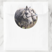 Percheron Tandem Ronde Sticker (Tas)