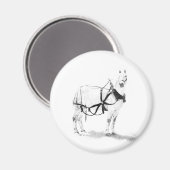 Percheron trekpaard paardenkunstmagneten magneet (Voorkant / Achterkant)