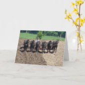 Percherons op het werk kaart (Gele Bloem)