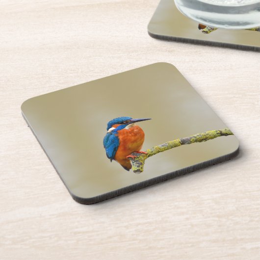 Perching Kingfisher Bier Onderzetter (Linkerzijde)