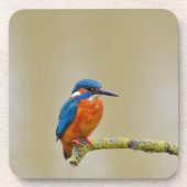 Perching Kingfisher Bier Onderzetter (Voorkant)