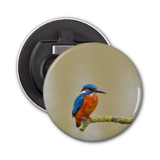 Perching Kingfisher Button Flesopener (Voorkant)