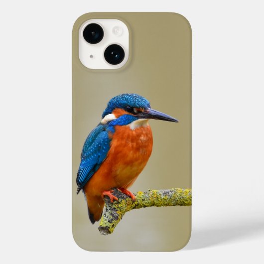 Perching Kingfisher Case-Mate iPhone Case (Achterkant)