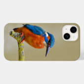 Perching Kingfisher Case-Mate iPhone Case (Achterkant (horizontaal))