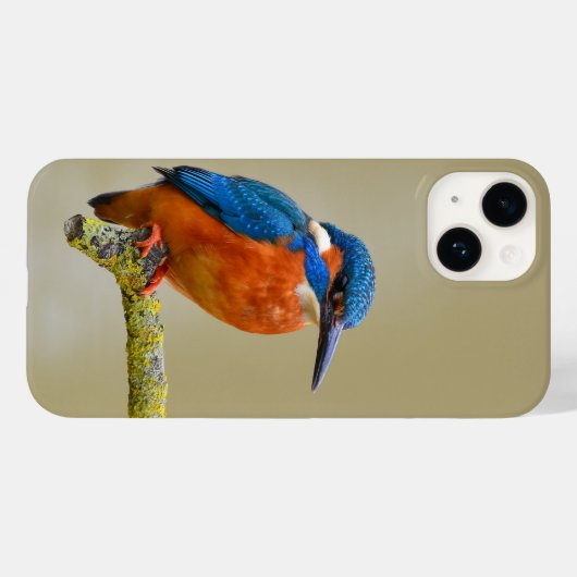 Perching Kingfisher Case-Mate iPhone Case (Achterkant (horizontaal))