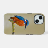 Perching Kingfisher iPhone 15 Case (Achterkant horizontaal)