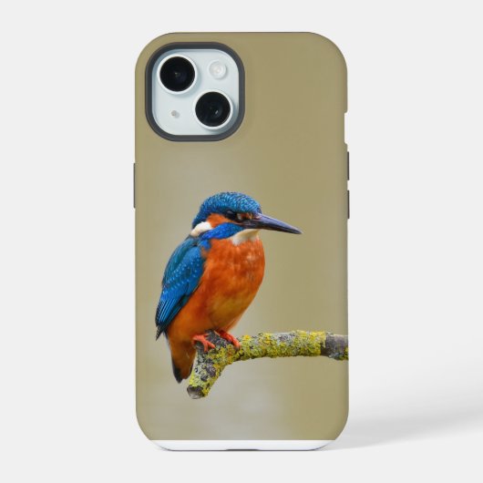 Perching Kingfisher iPhone 15 Case (Achterkant)