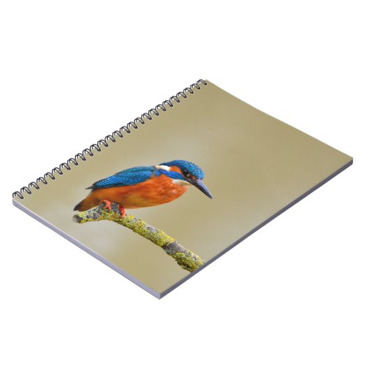 Perching Kingfisher Notitieboek (Linkerzijde)
