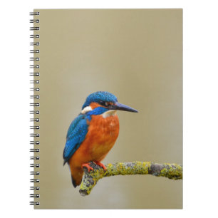Perching Kingfisher Notitieboek