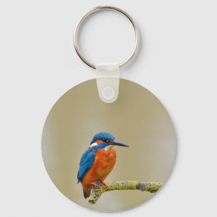 Perching Kingfisher Sleutelhanger