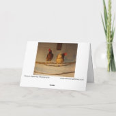 "Perching" Two Perched Chickens in Coop / Henhouse Kaart (Achterkant)