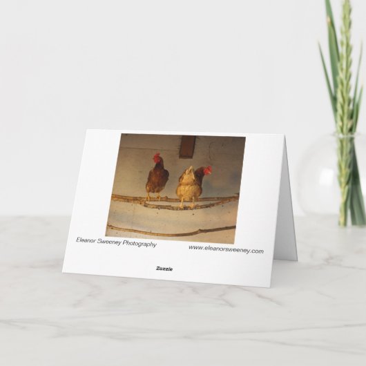 "Perching" Two Perched Chickens in Coop / Henhouse Kaart (Achterkant)