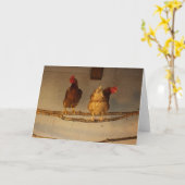 "Perching" Two Perched Chickens in Coop / Henhouse Kaart (Gele Bloem)