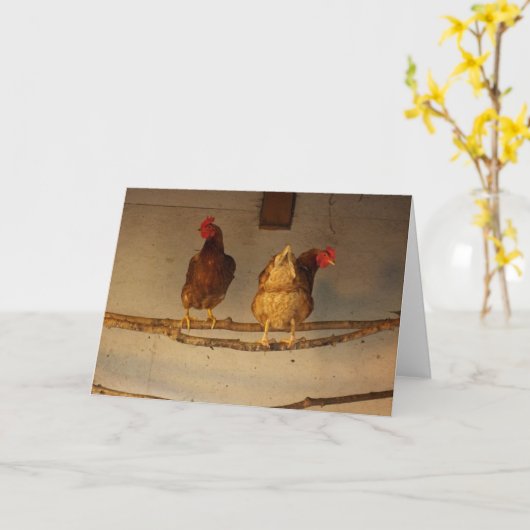 "Perching" Two Perched Chickens in Coop / Henhouse Kaart (Gele Bloem)