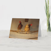 "Perching" Two Perched Chickens in Coop / Henhouse Kaart (Voorkant)