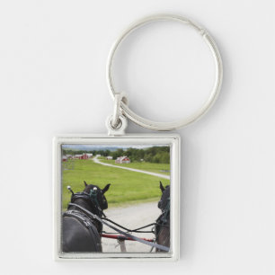 Perchon paarden trekken karretje tegen de geschied sleutelhanger