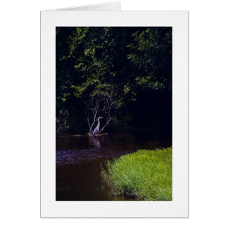 Percival's Isle, Lynchburg Virginia