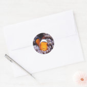 Percula Clownfish Ronde Sticker (Envelop)