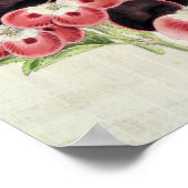  Perdita, Modesty en Garibaldi Pelargoniums Poster (Hoek)