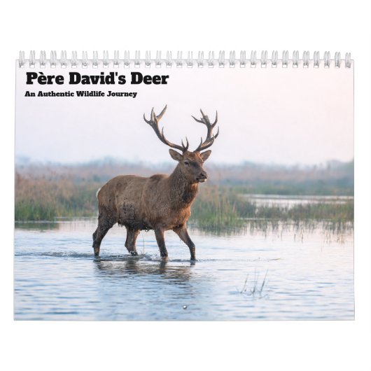Père David's herten 2027 wandkalender Kalender (Hoes)