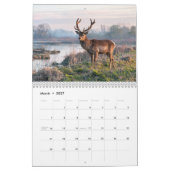 Père David's herten 2027 wandkalender Kalender (Mar 2027)