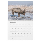 Père David's herten 2027 wandkalender Kalender (Jan 2027)