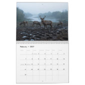Père David's herten 2027 wandkalender Kalender (Feb 2027)