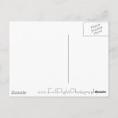 Peregine Falcon in Grass Briefkaart (Achterkant)