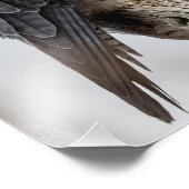 Peregriene valken met baardbaars foto afdruk (Hoek)