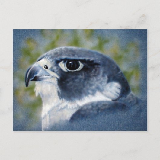 Peregrine Briefkaart (Voorkant)
