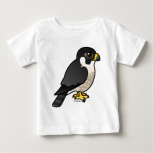 Peregrine Falcon