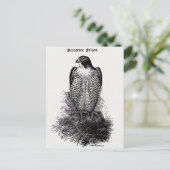 Peregrine Falcon  Bird Illustration Briefkaart (Staand voorkant)