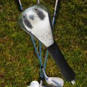 Peregrine Falcon Bird of Prey Photo Golfheadcover