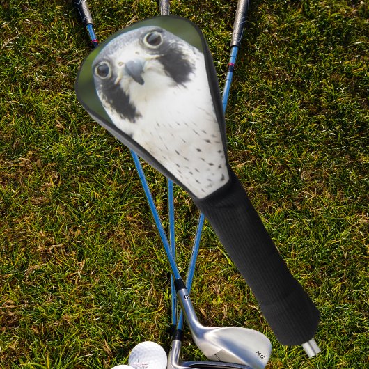Peregrine Falcon Bird of Prey Photo Golfheadcover