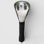 Peregrine Falcon Bird of Prey Photo Golfheadcover (Voorkant)