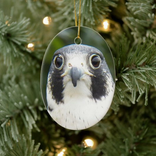 Peregrine Falcon Bird of Prey Photo Keramisch Ornament (Boom)
